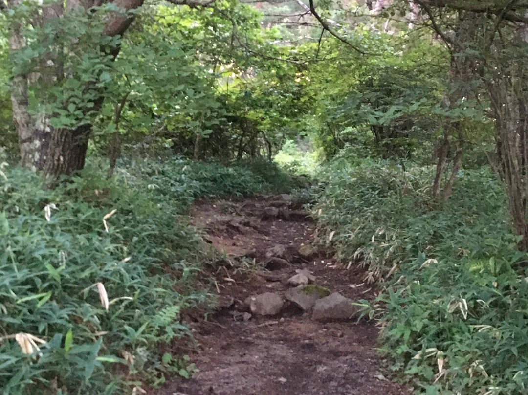 Mt. Amigasa-富士见町必去景点