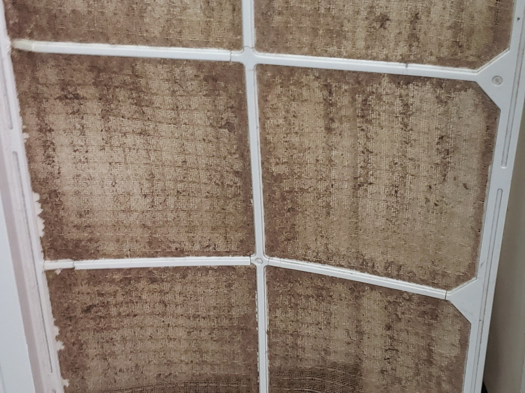 Super 8 by Wyndham Prestonsburg主图