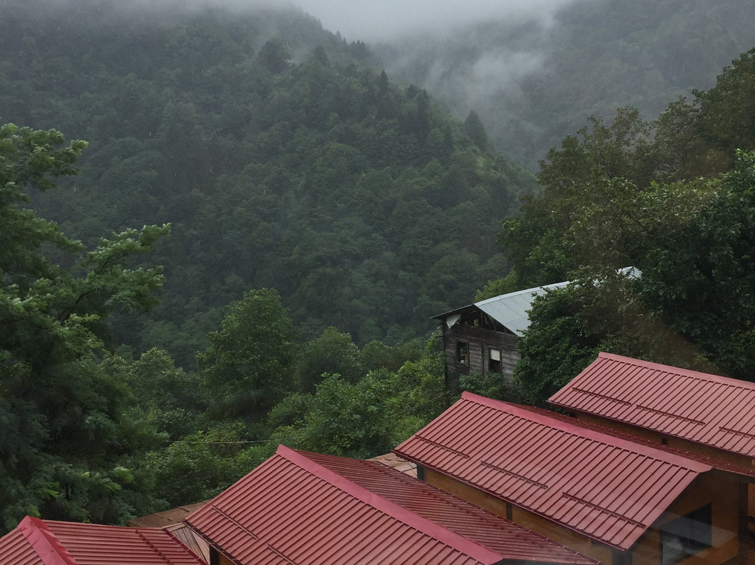 Elevit Tatil Koyu主图