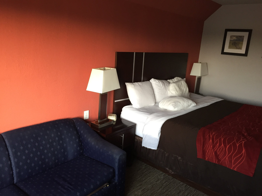 Comfort Inn & Suites主图