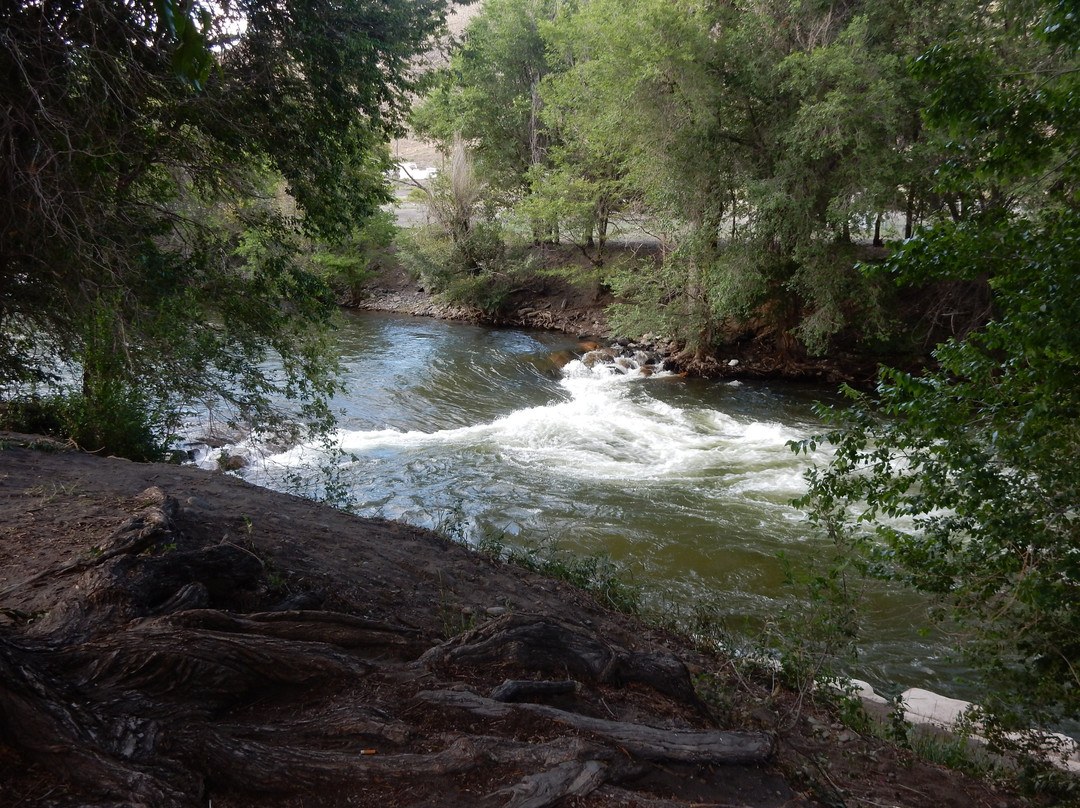 Riverside Park-萨利达必去景点
