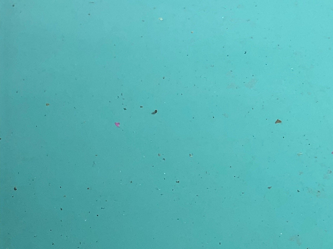 野生海滩度假村主图