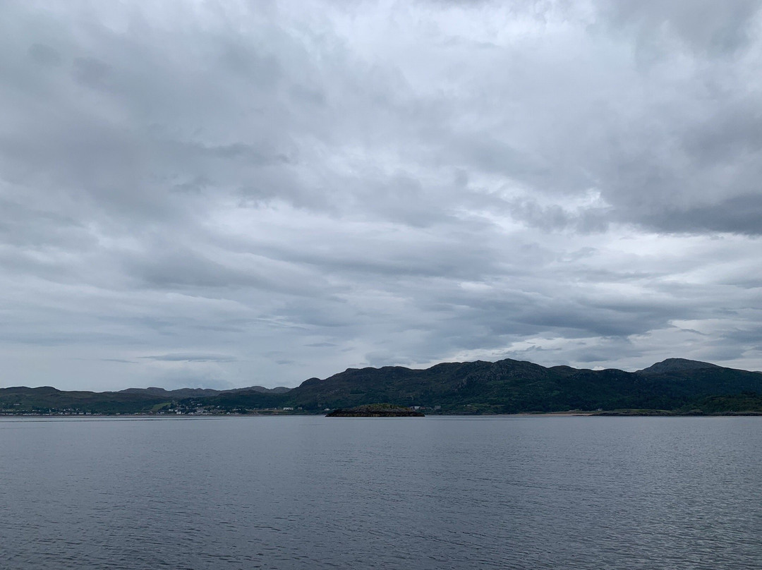 Hebridean Whale Cruises景点图片