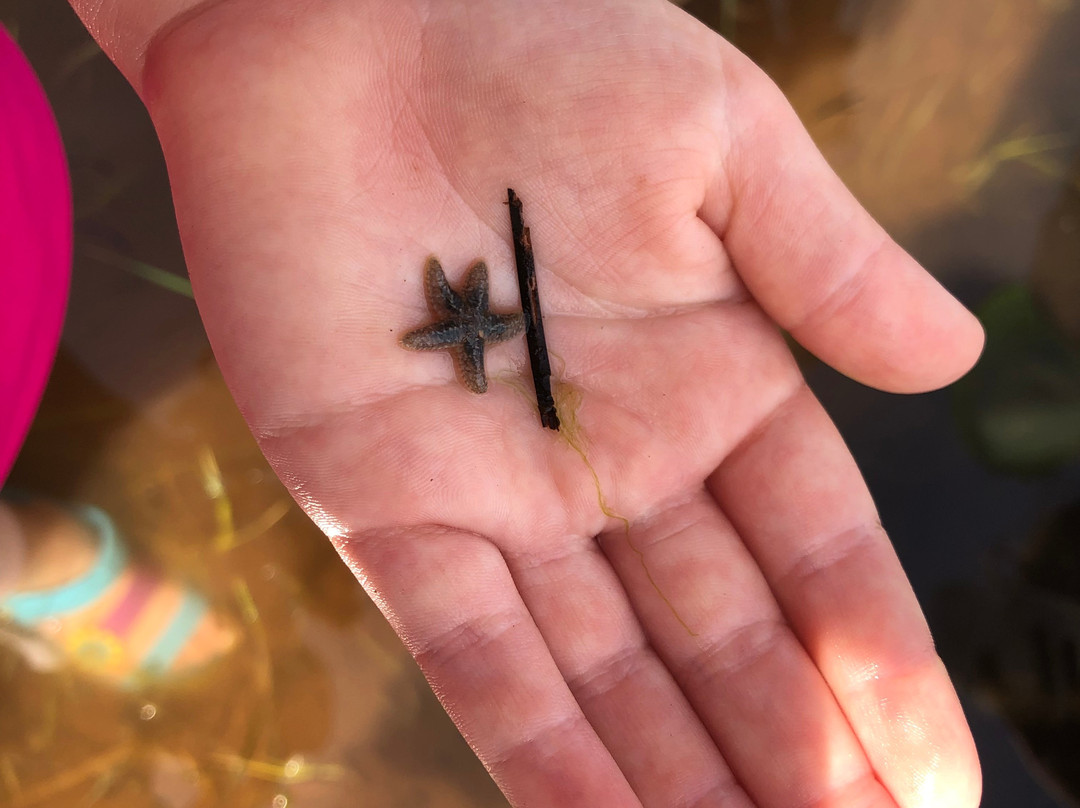 Basin Head - Beyond the Beach-Souris必去景点