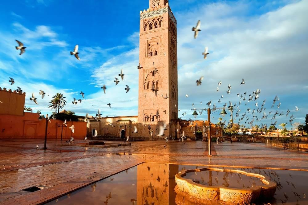 Merzouga Travel Tours景点图片