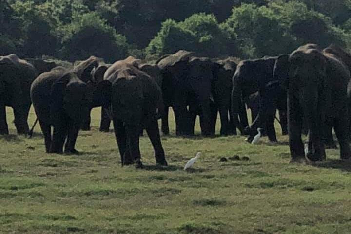 My Trip To Sri Lanka-哈巴拉娜必去景点