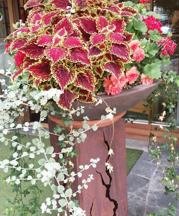 Landhotel Tharerwirt主图