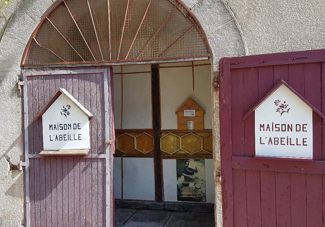 Maison de l'Abeille et Écomusée du Carton-Arbois必去景点