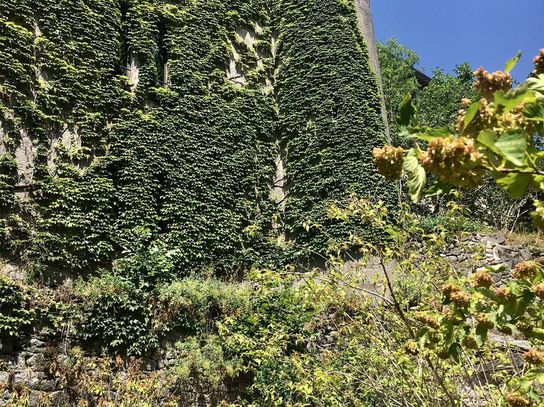 Museum des Volcans-奥里亚克必去景点