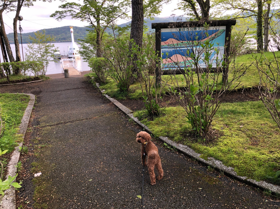 Asahigaoka Lakeside Greenspace Park景点图片