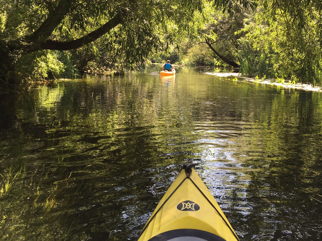 Canoe Wild景点图片