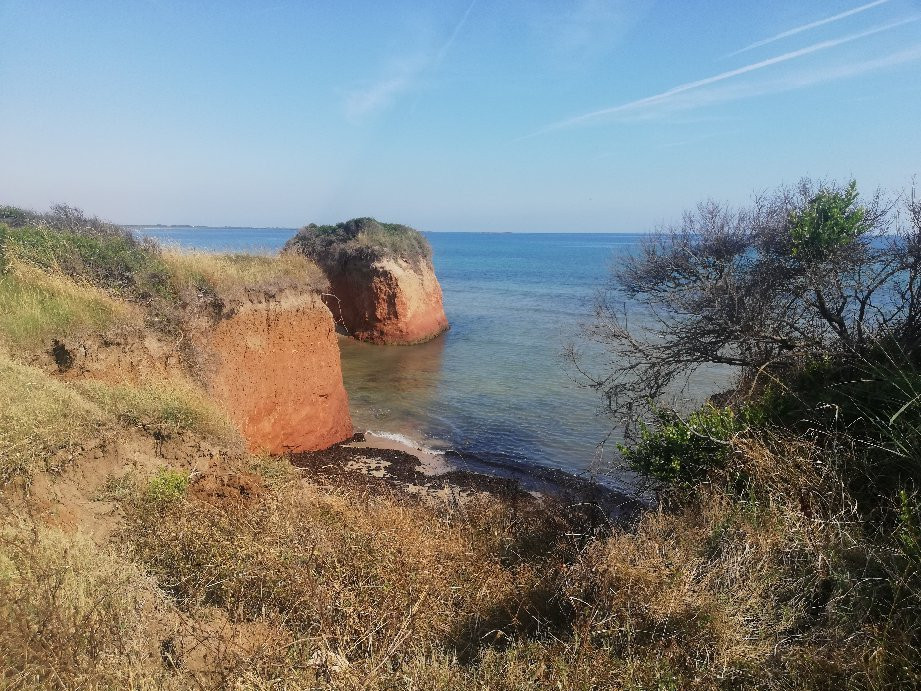 Torre Guaceto Boa Gialla景点图片