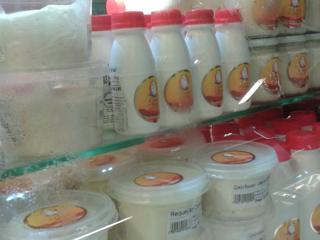 Campo da Serra-累西腓必去景点