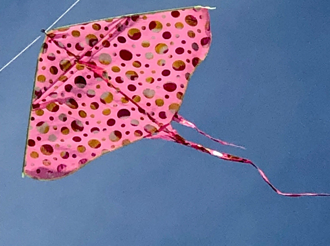 Spiaggia Lido di Fano-法诺必去景点