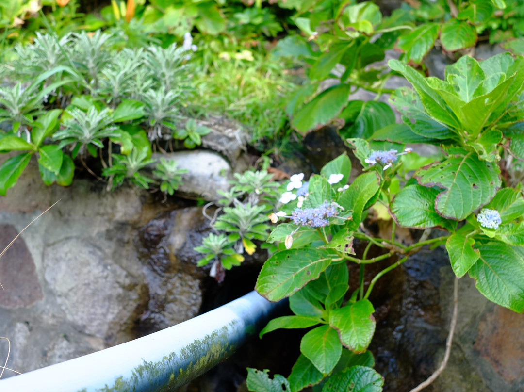 Mizugashiri no Izumi