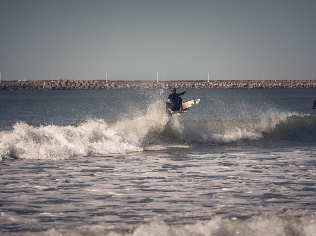 Monte Pasubio Comunidad主图