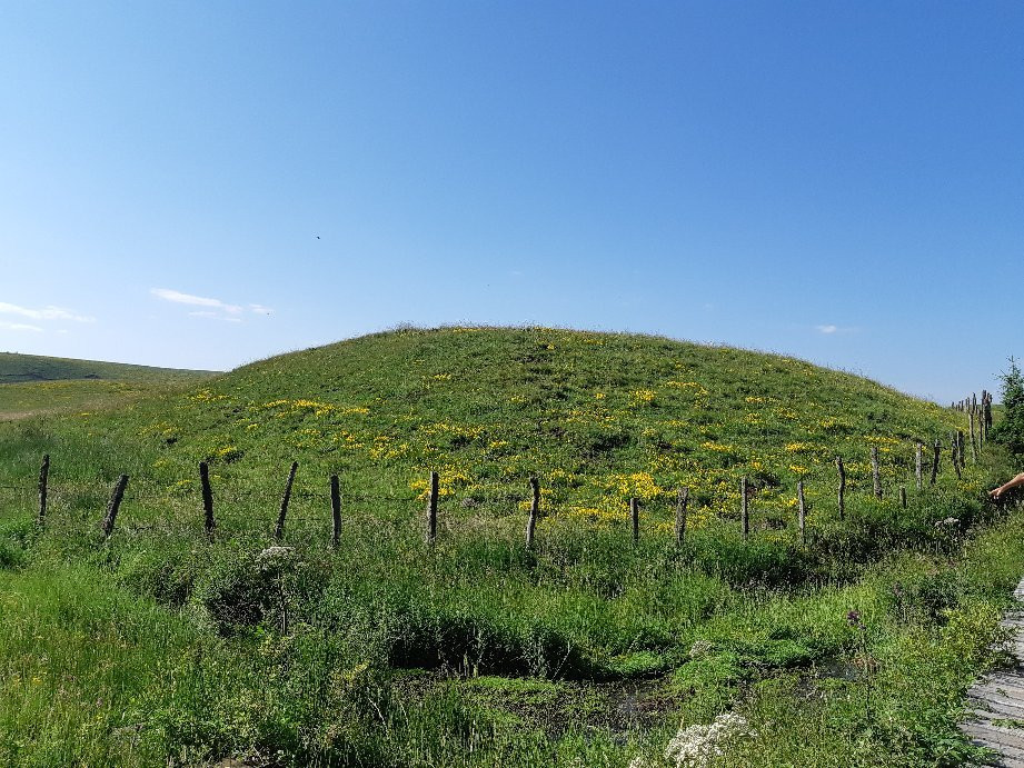 Reserve Naturelle des Sagnes de la Godivelle景点图片