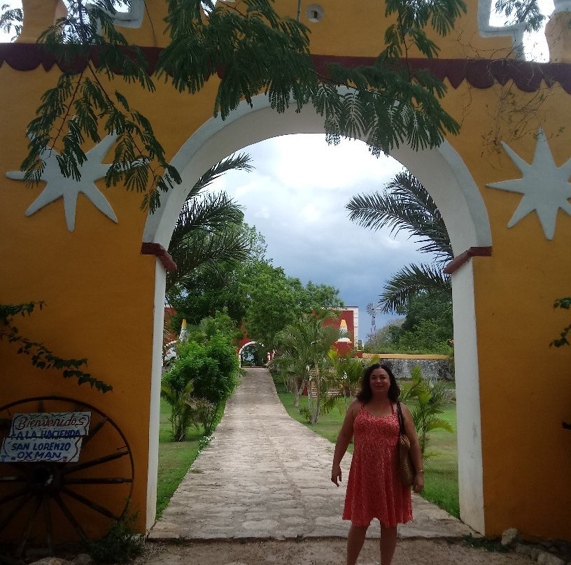 Hacienda Oxman Cenote景点图片