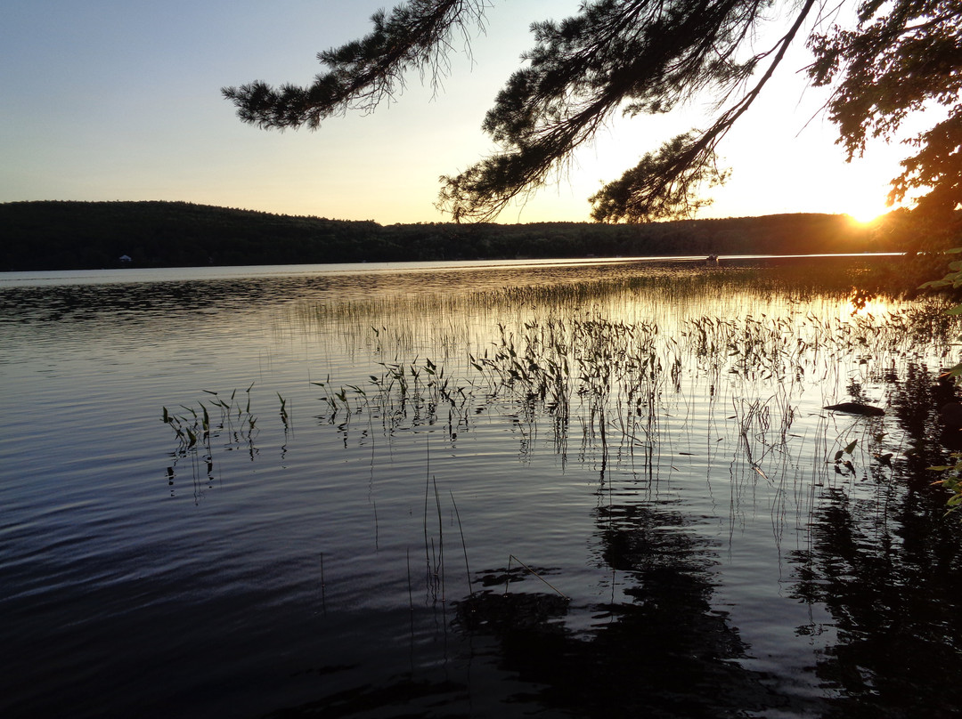 Meadow Farm Bed and Breakfast主图