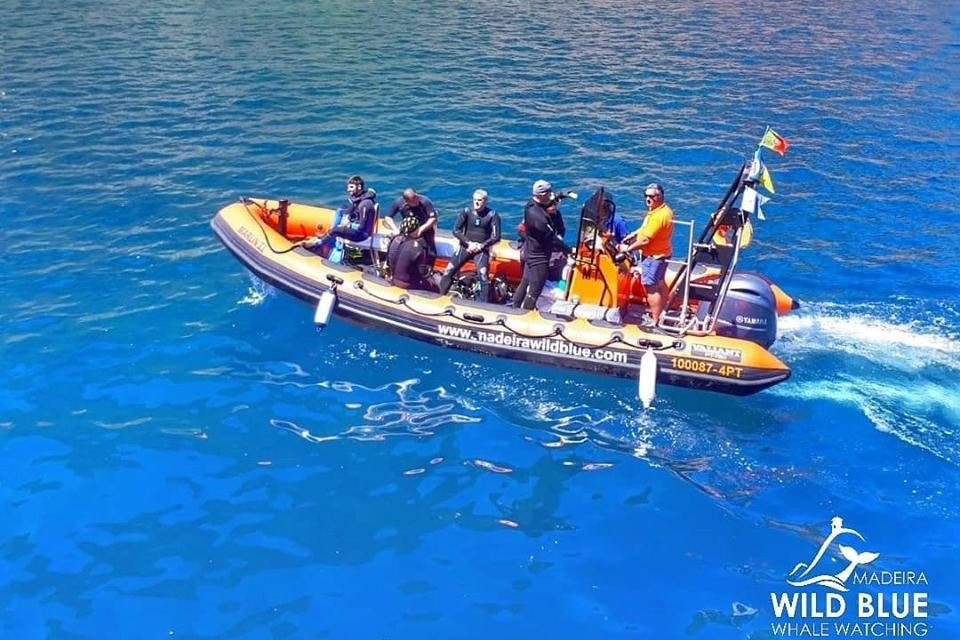 Madeira Wild Blue - Tours & W.W.-卡列塔必去景点
