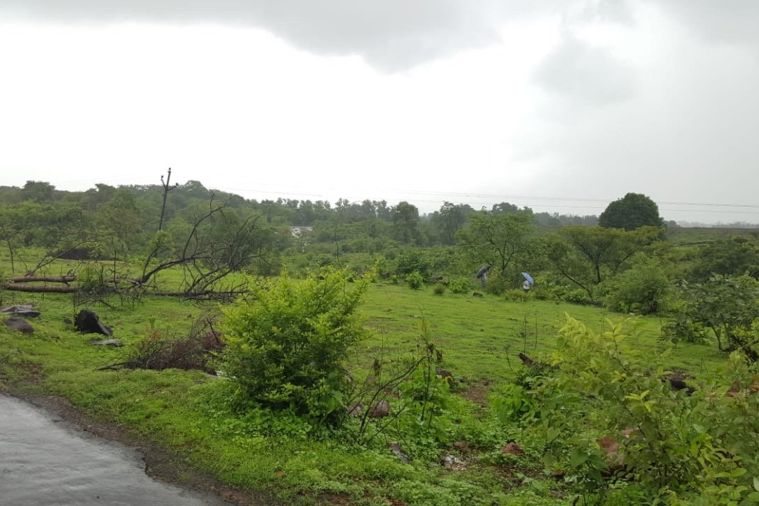 Kundalika Rafting-Kolad必去景点