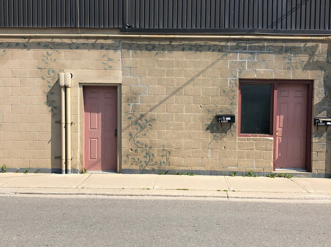 Downtown Murals-Carleton Place必去景点