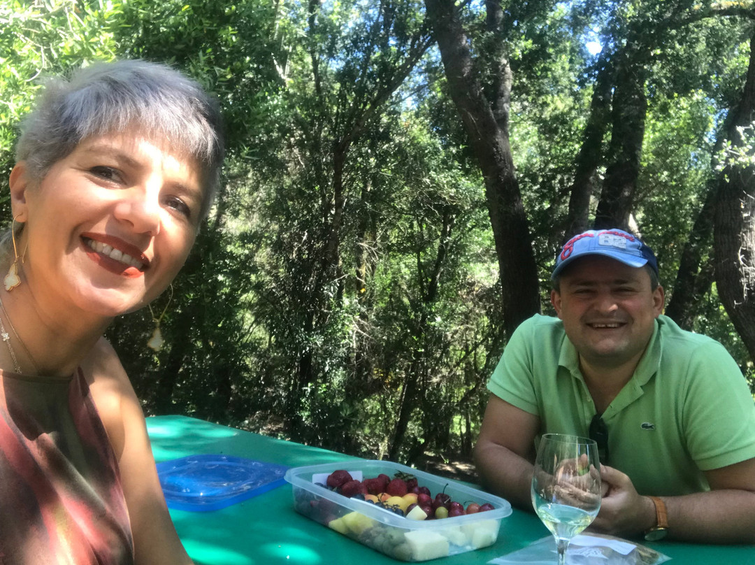 Nichelini Family Winery-圣海伦娜必去景点