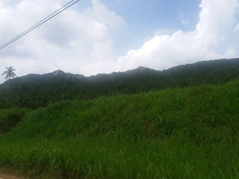 Yapahuwa景点图片