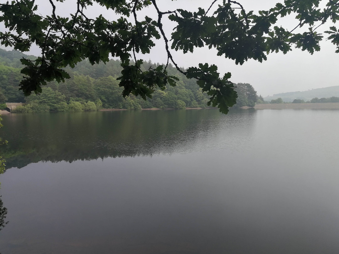 Damflask Reservoir景点图片