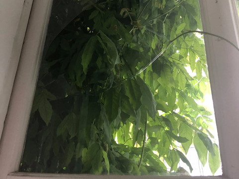 安缇茜宫殿世界小型豪华酒店主图