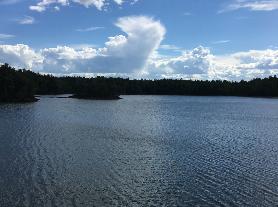 Cobscook Bay State Park景点图片