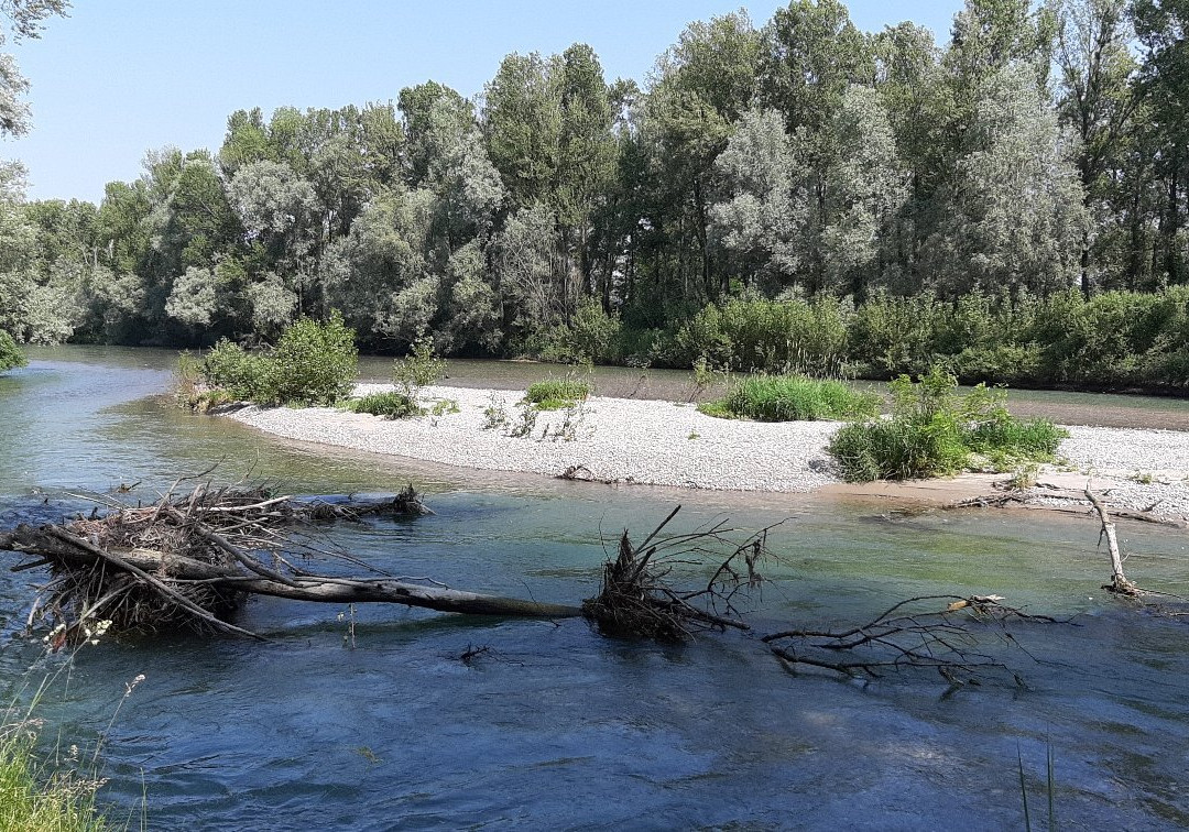 Tombe Morte e Tredici Ponti-Genivolta必去景点