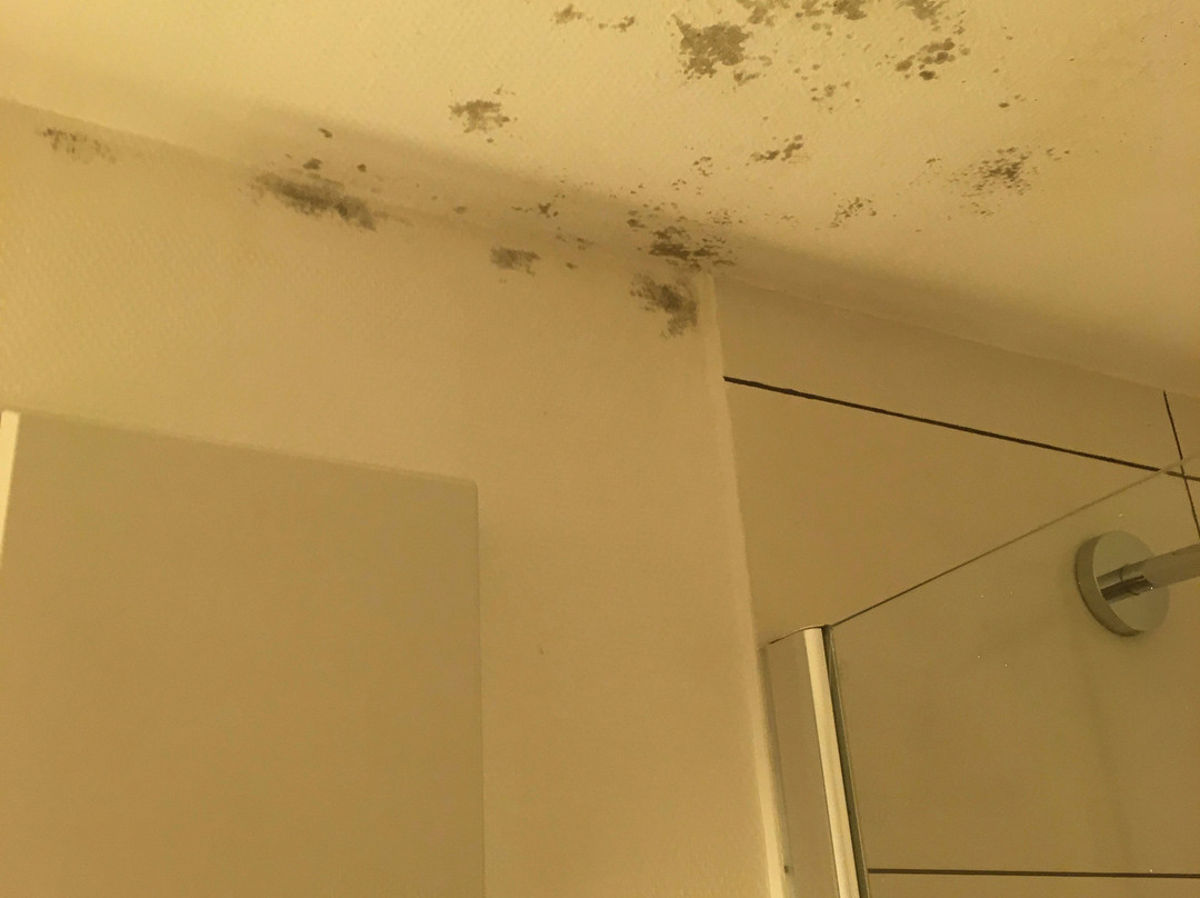 Hotel-Garni Brugger主图