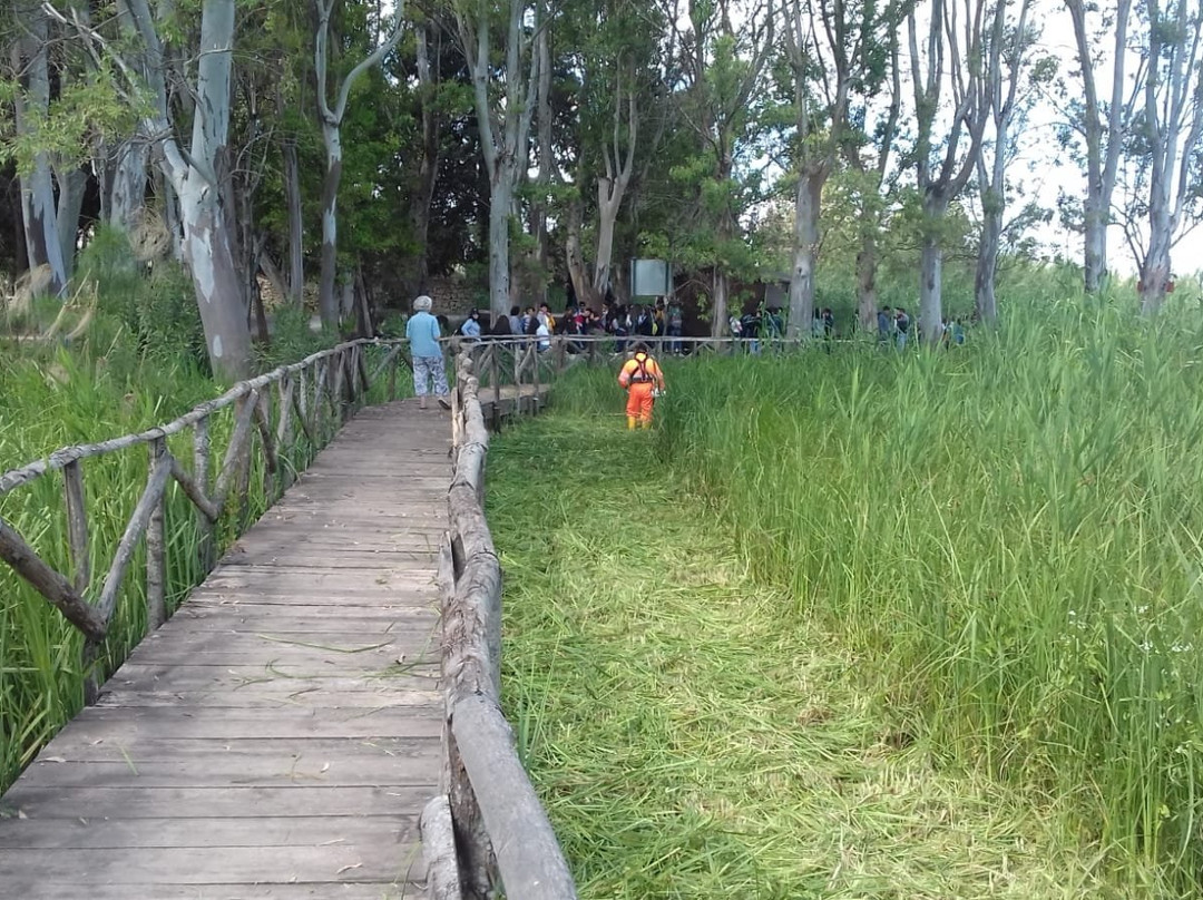 Riserva Naturale fiume Ciane-锡拉库扎必去景点