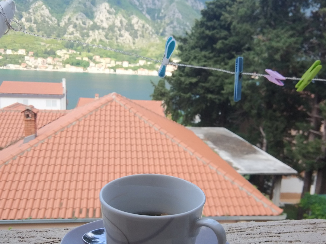 Apartments & Rooms Jelka主图