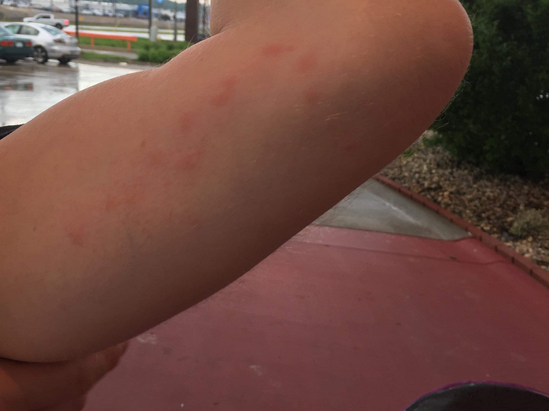 Baymont By Wyndham Bellevue/omaha主图