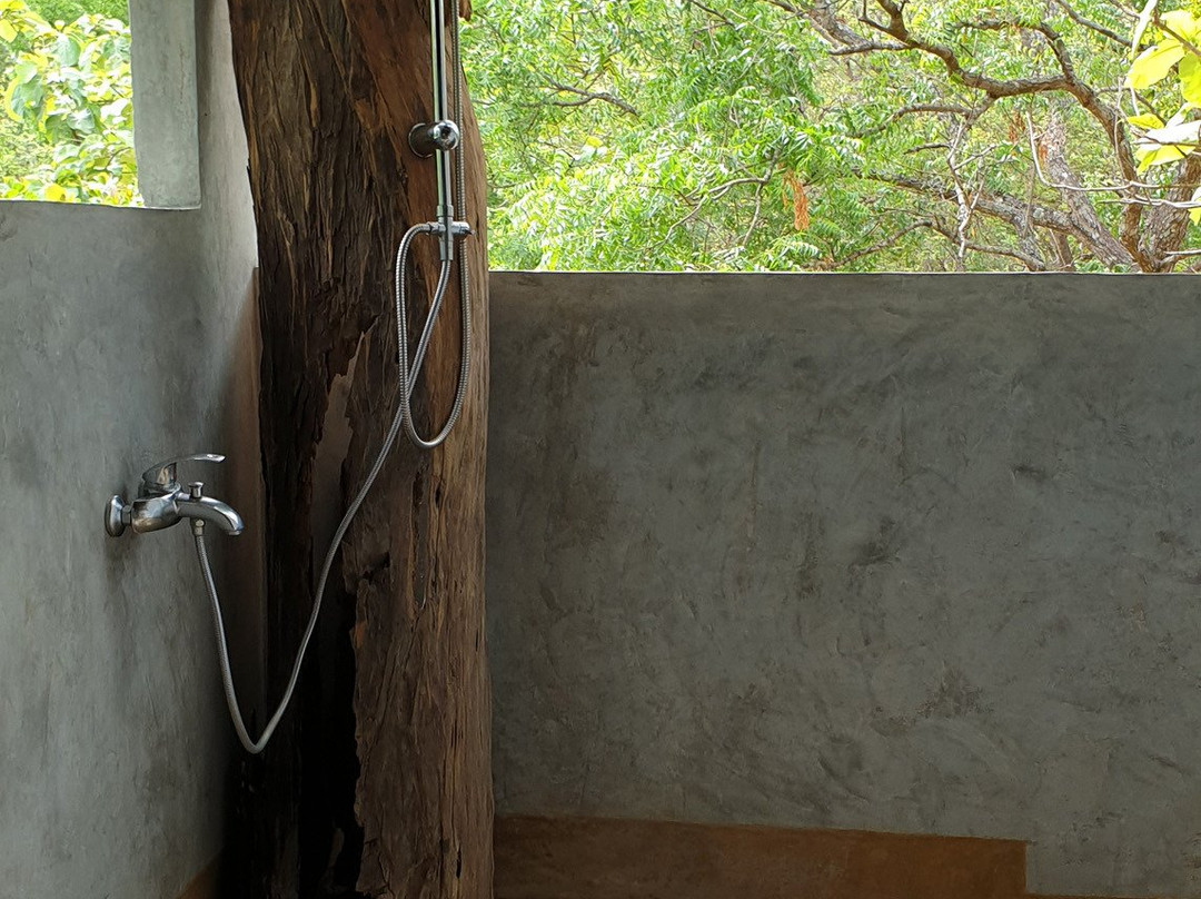 Ambasewana Resort主图