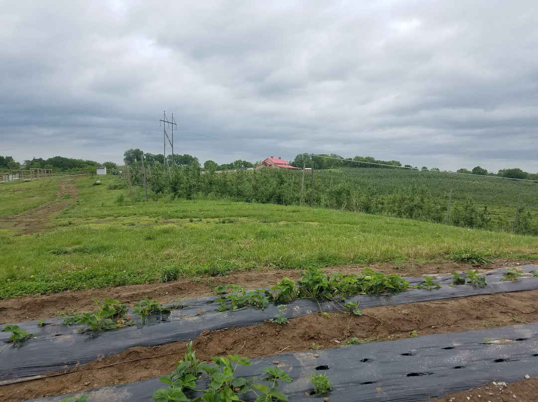 Historic Weston Orchard & Vineyard-Weston必去景点