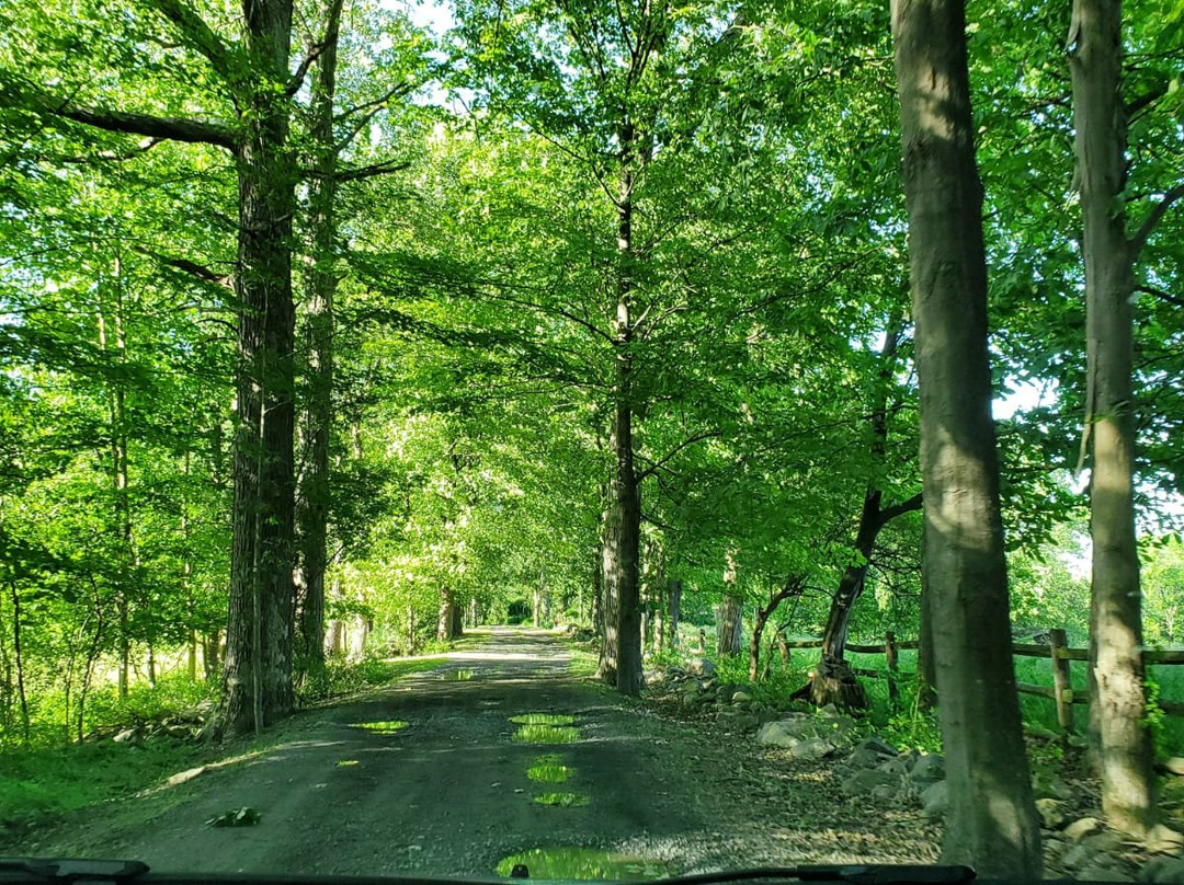 Hudson Valley Rose Bed & Breakfast主图