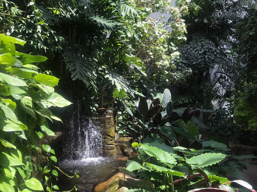 Quad City Botanical Center-罗克艾兰必去景点