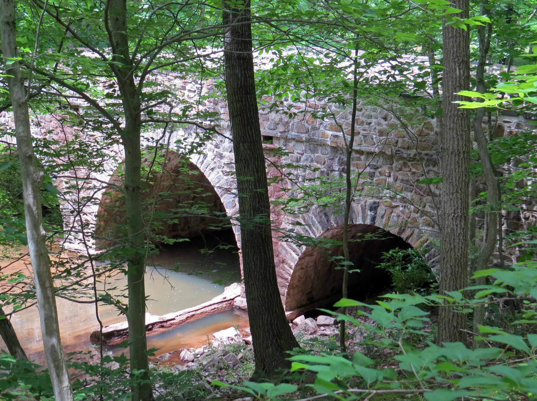 Bowman's Hill Wildflower Preserve景点图片