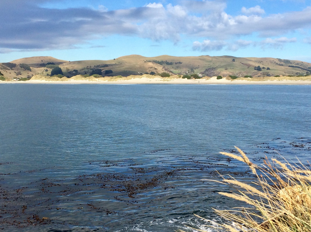 Aramoana Beach景点图片