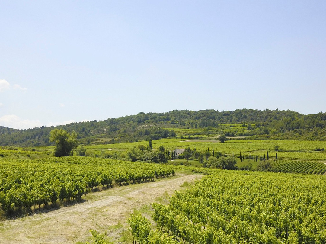 Bedoin旅游景点-Terre de Ghaya