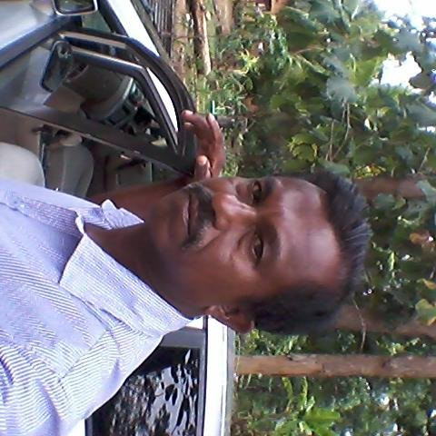 Sadeetours-Hikkaduwa-加勒必去景点