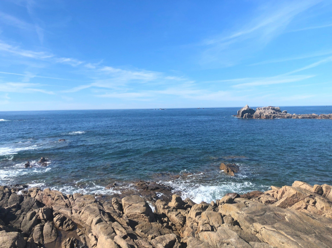Saline Bay-Castel必去景点