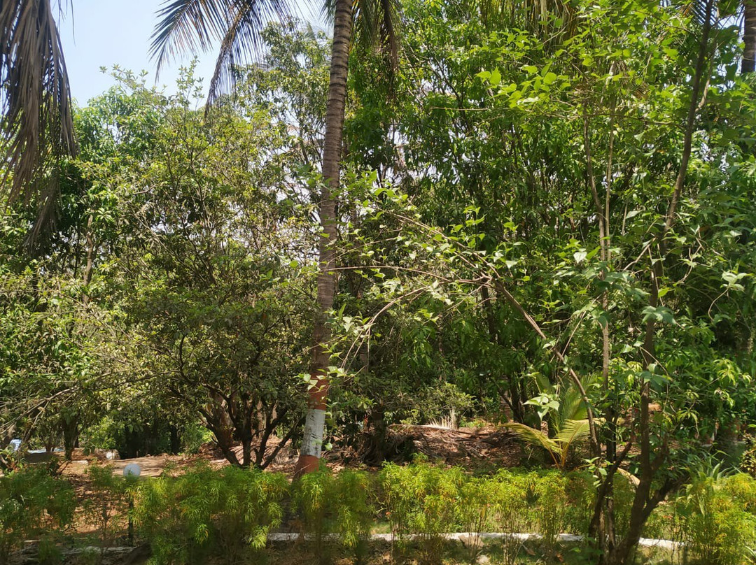 SPOT ON 69008 Doctor's Farm主图