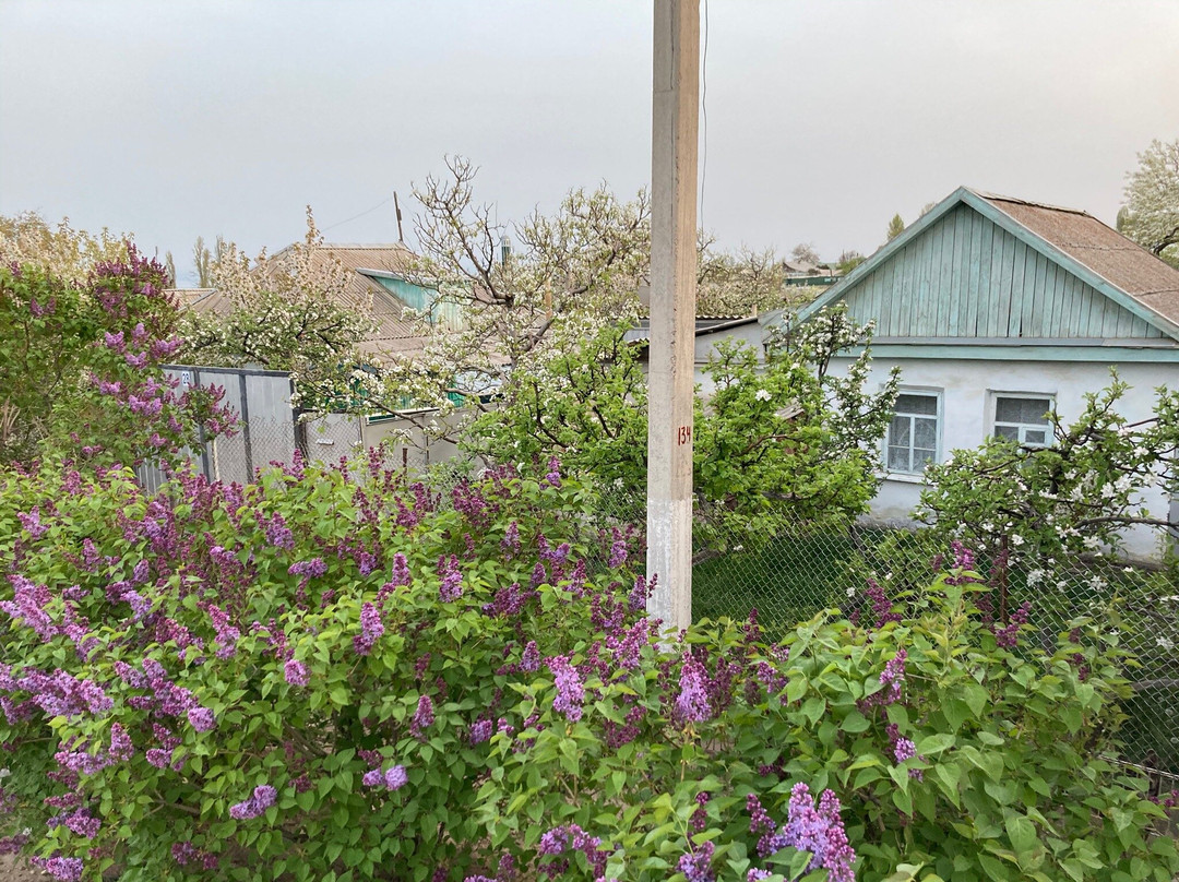 Olga Guest House