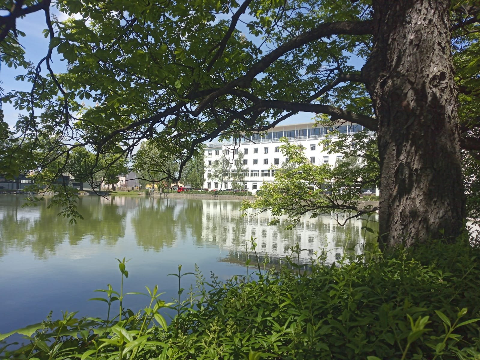Campus Horn-浴室