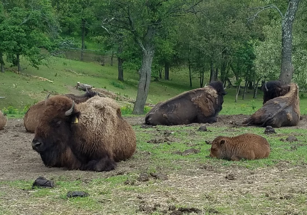 Trexler Nature Preserve-Schnecksville必去景点
