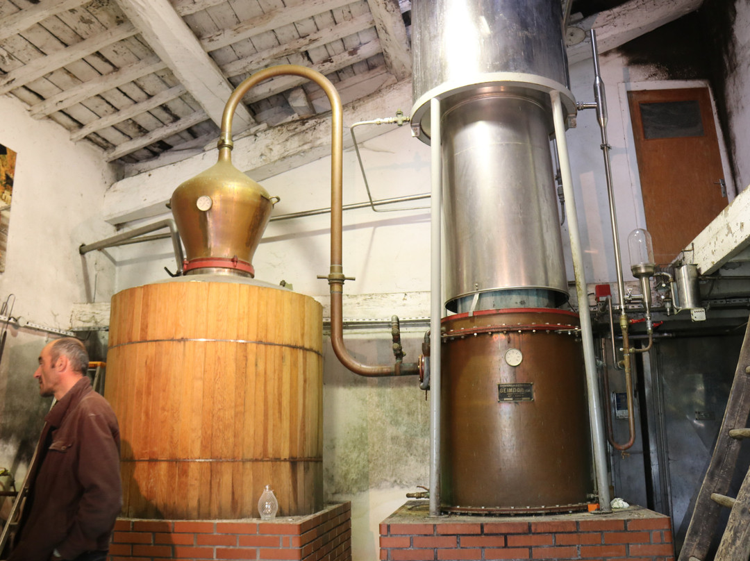 Villette-de-Vienne旅游攻略图片